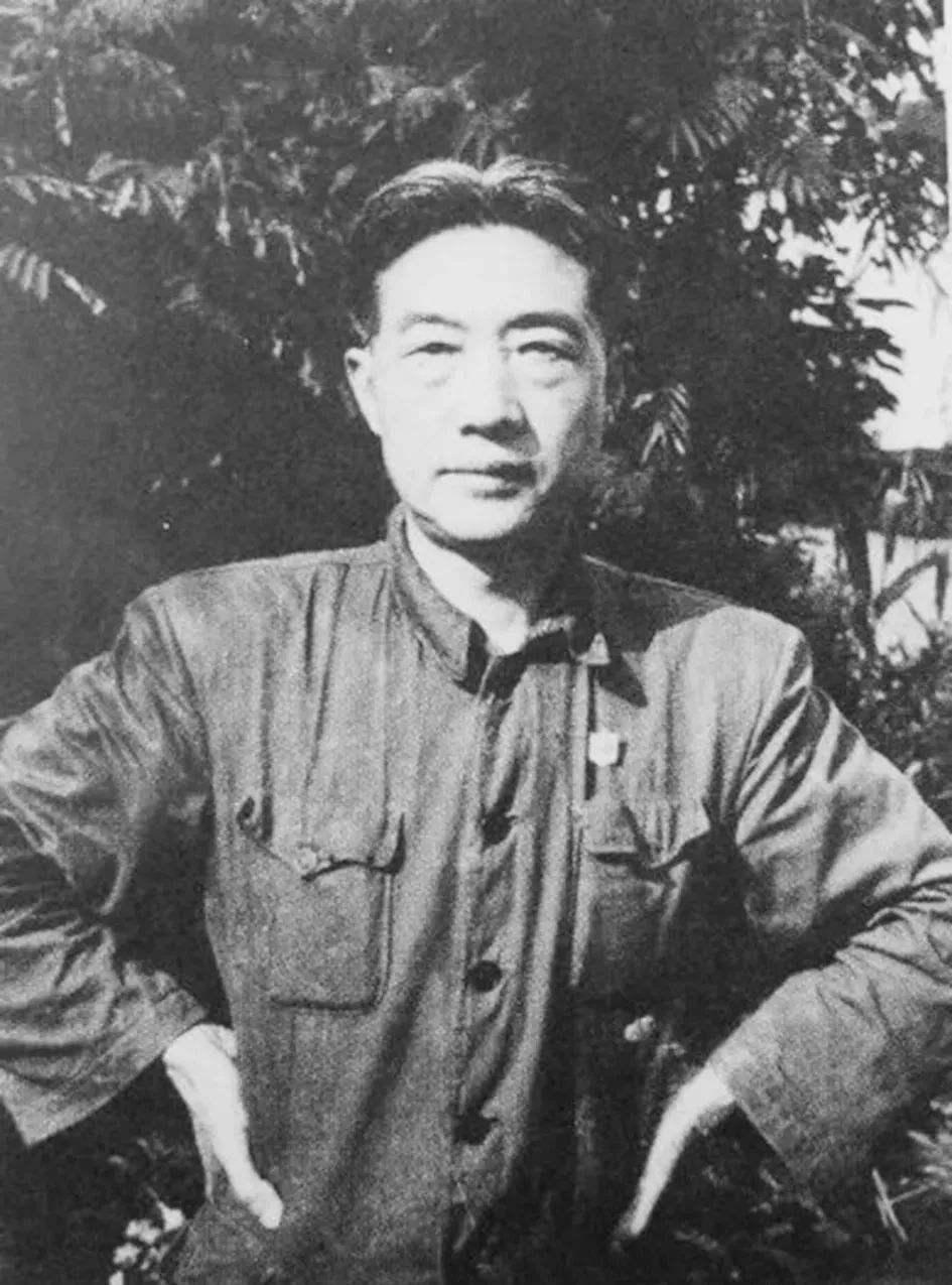 徐悲鸿17岁被迫娶村姑，当晚态度为啥变了？给儿子取的名藏着心酸

1912年，1
