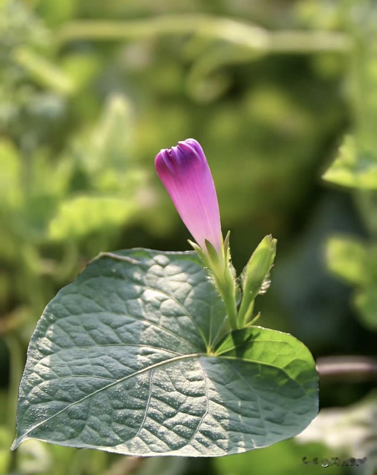 一句很经典的话：
​“人生的下半场，  有一件很重要的事，  
就是你一定要把自