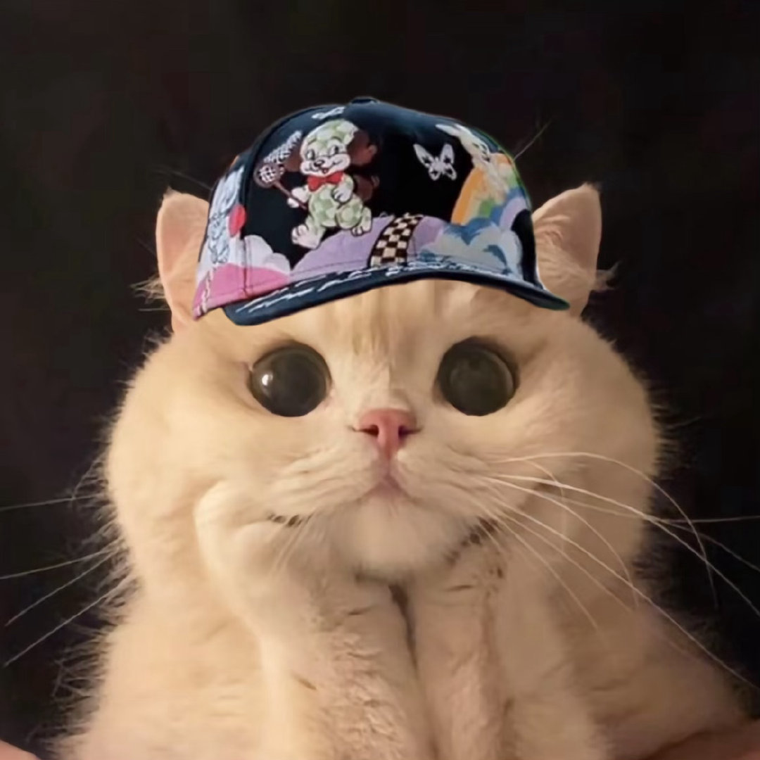 咪托脸 专注经营自己的呆萌生活(◐‿◑)﻿ 