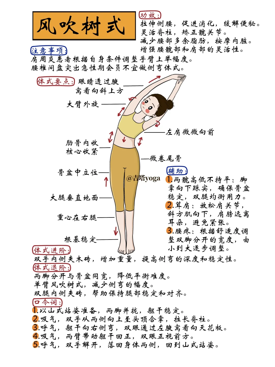 【新】每天讲解一个瑜伽体式【第八天】