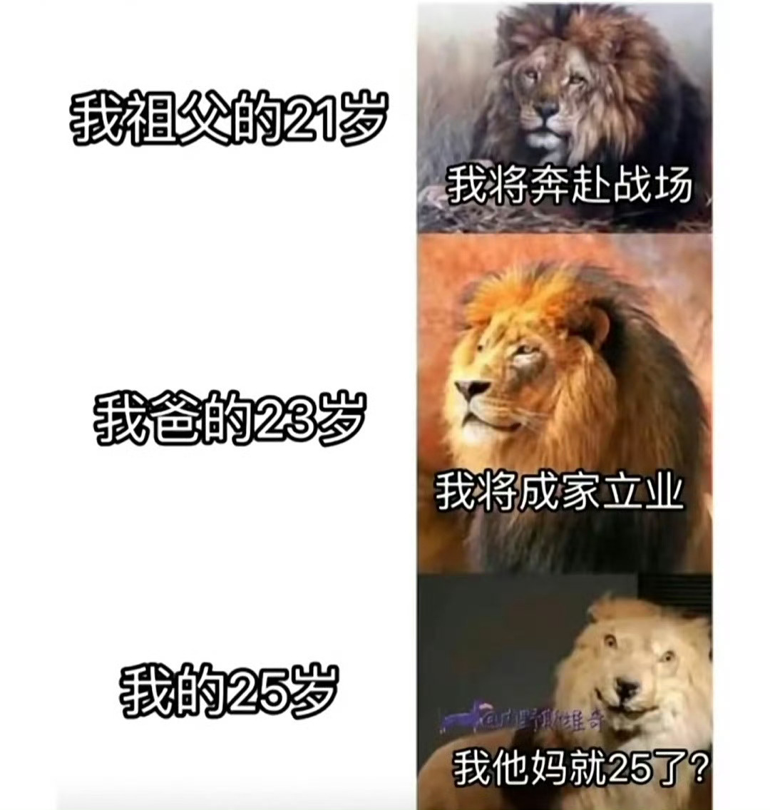 还是会笑哈哈哈哈，一代人有一代人的生活[允悲] ​​​