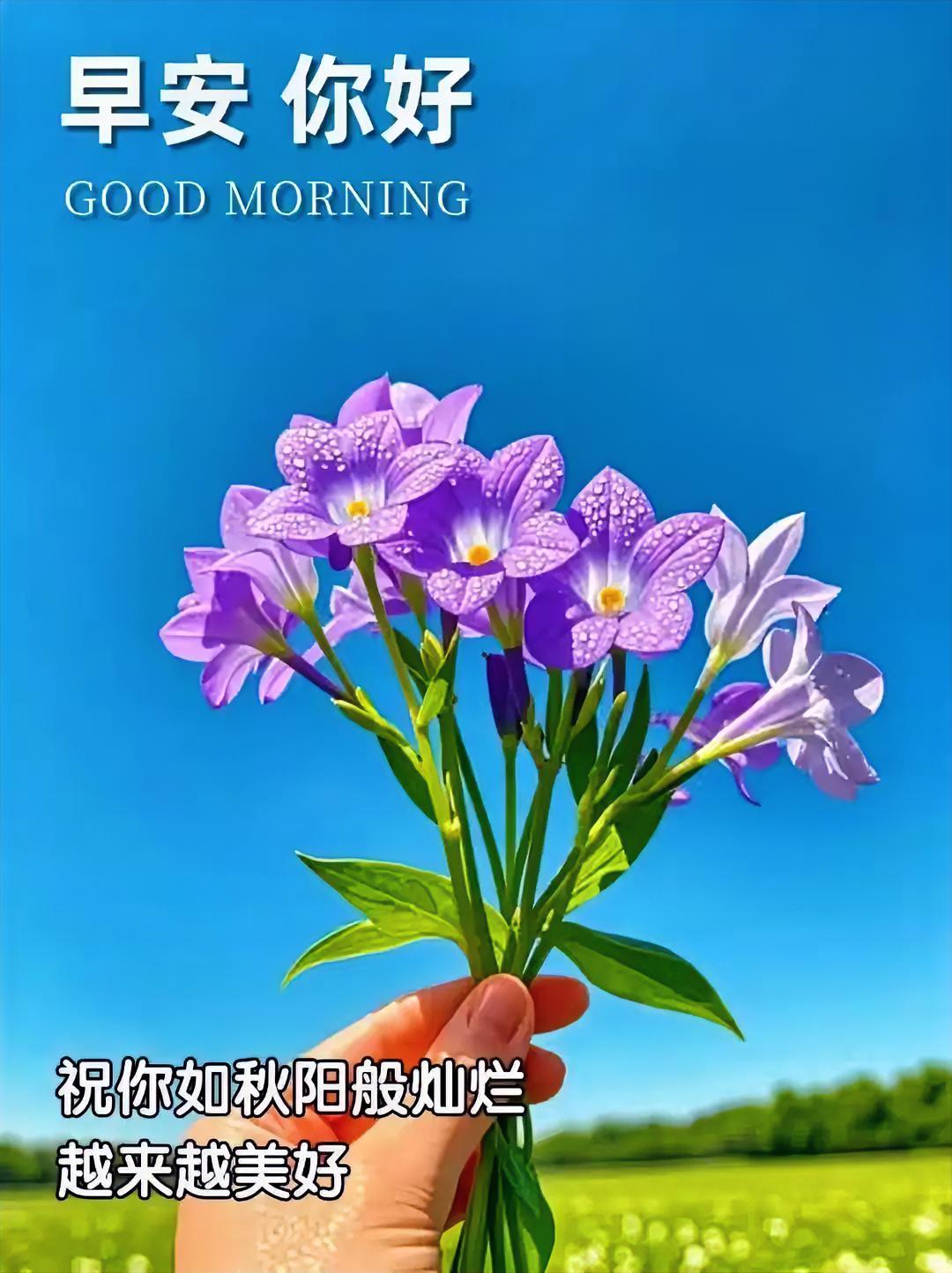 先不要急着领证结婚，还是多了解了解吧，婚姻是大事，慎重考虑。
今日正能量 
晒图