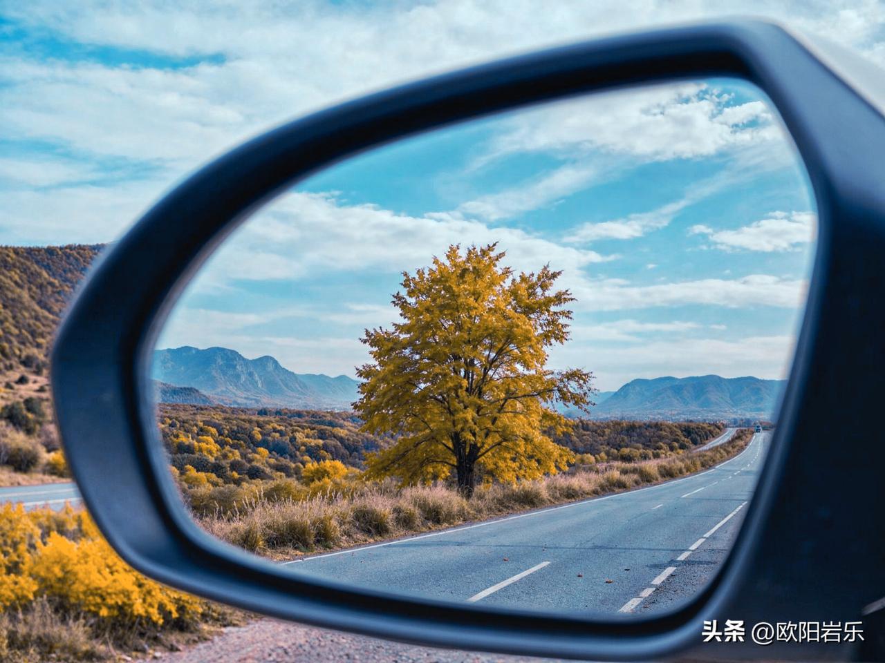 - 后视镜的秋日限定🌾
​
- 回头，撞见一树秋光
​
- 在路上，与秋天不期