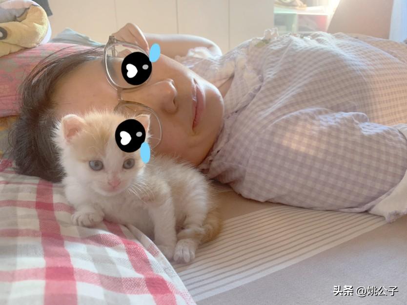 又一波病毒来了吗？女儿感冒了，症状就是头疼，发烧，嗓子痛！上周一直阴雨连绵，气温