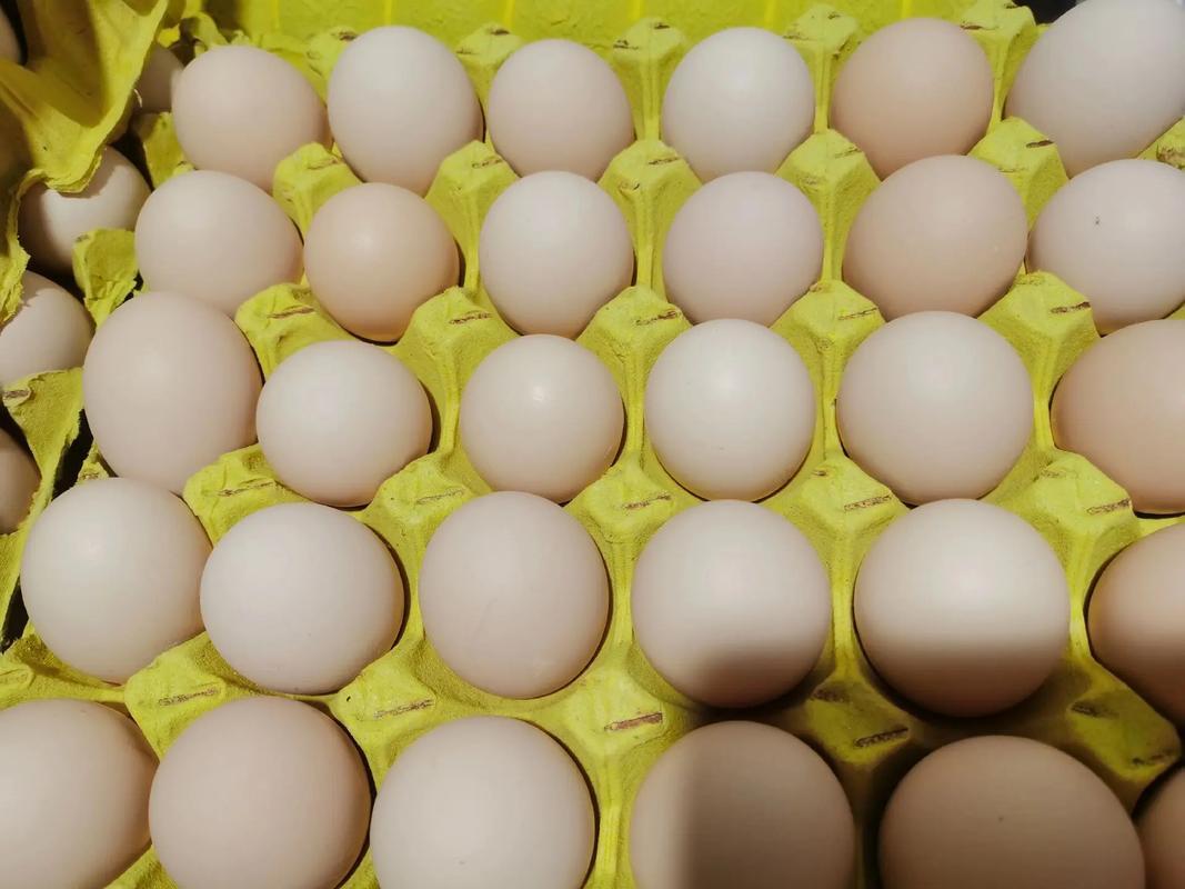 红色白色鸡蛋都是一张皮的颜色，只是白色显得干净，又接近过去土鸡蛋的颜色，容易被人