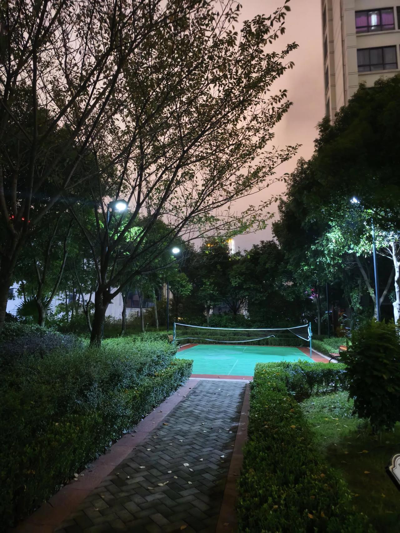 今夜好冷
        ——南木子
一场秋雨一场寒，
风吹落叶草木残。
今夜小
