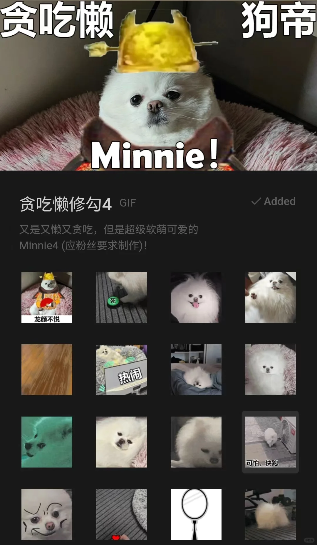 Minnie4微信表情包来啦