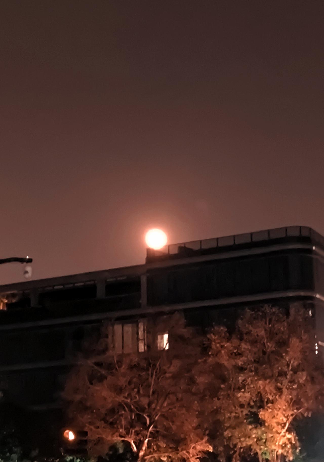 血月现，僵尸出。你知道这是哪部电视剧的台词吗？影视畅聊季 冬日生活打卡季