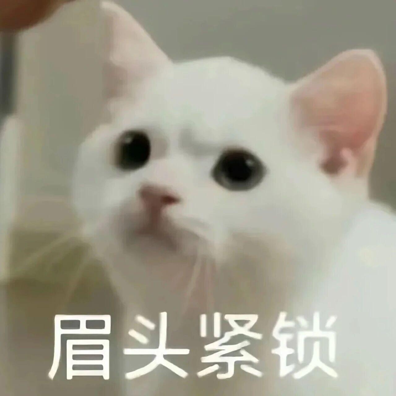 又是卡点到单位，着急忙慌的~ 