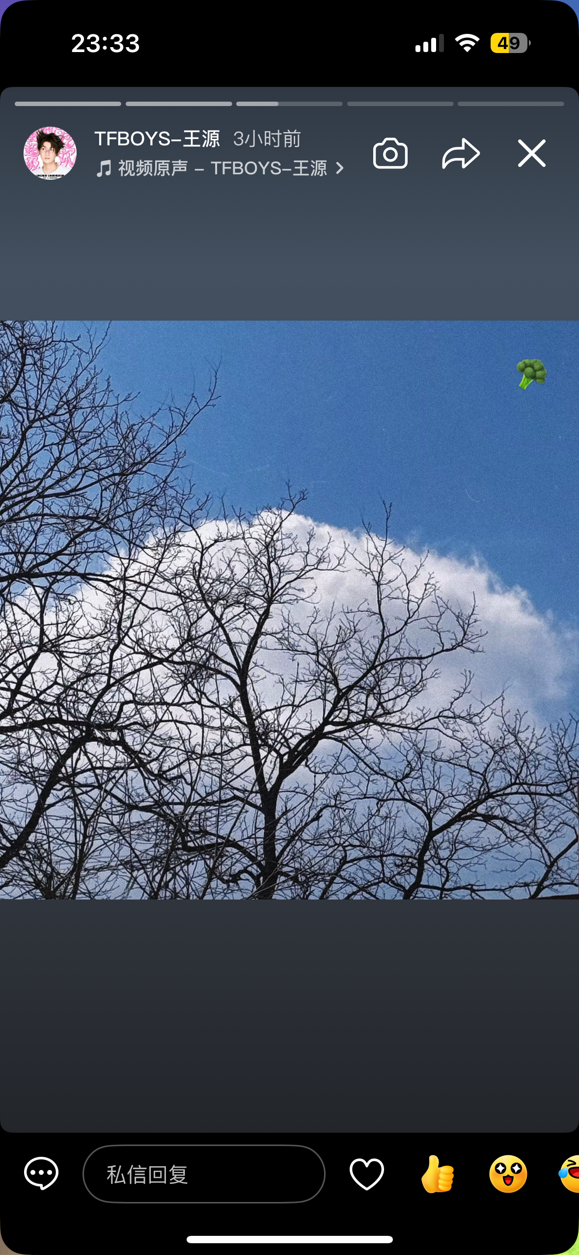 《我看见两朵一样的云》优秀收集/宣传大使——☁️☁️王源我看见两朵一样的云