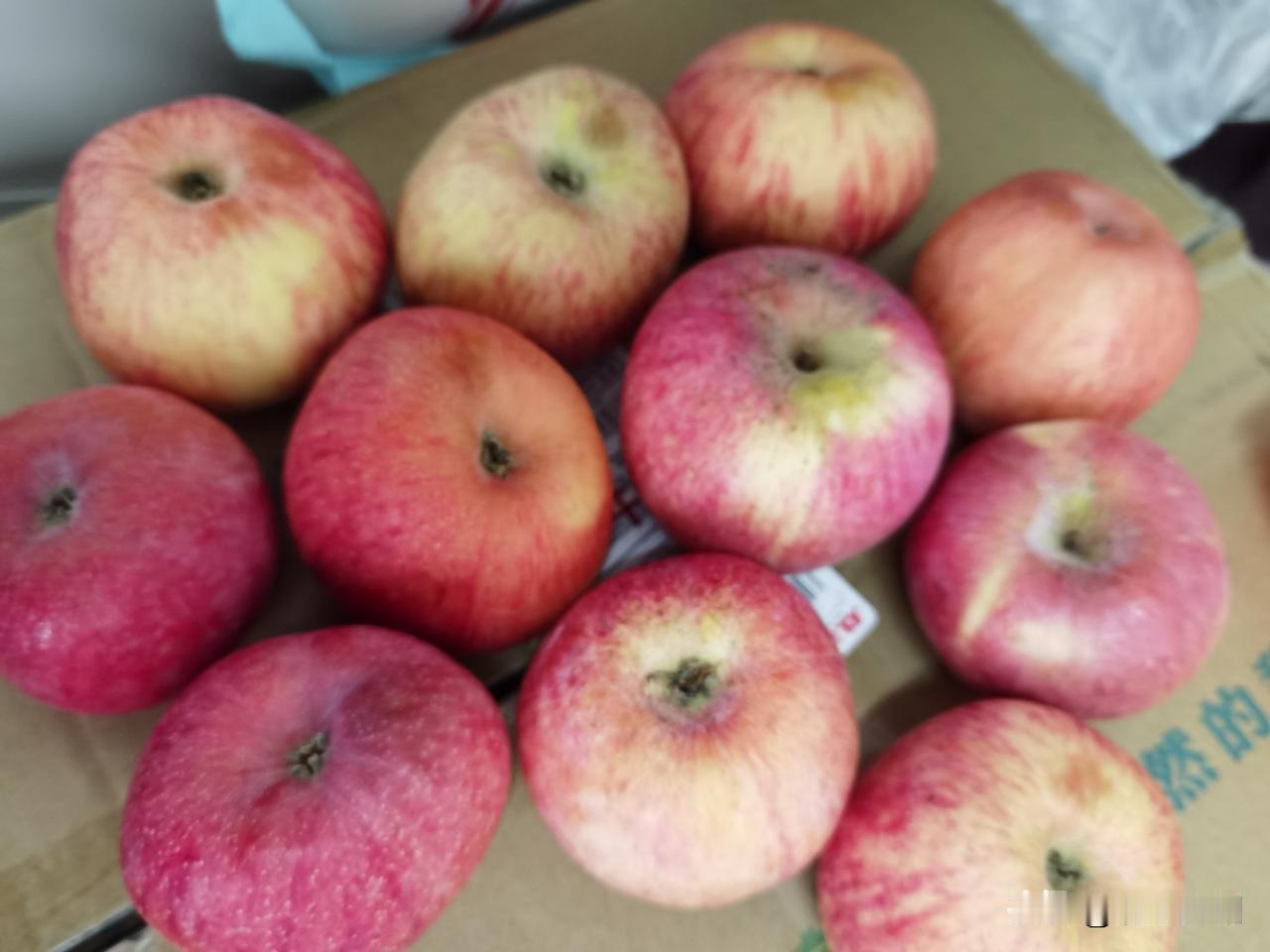 下单买的苹果收到了，19个苹果10个有明显的坏果，切开后里面更是腐烂变质了，另外