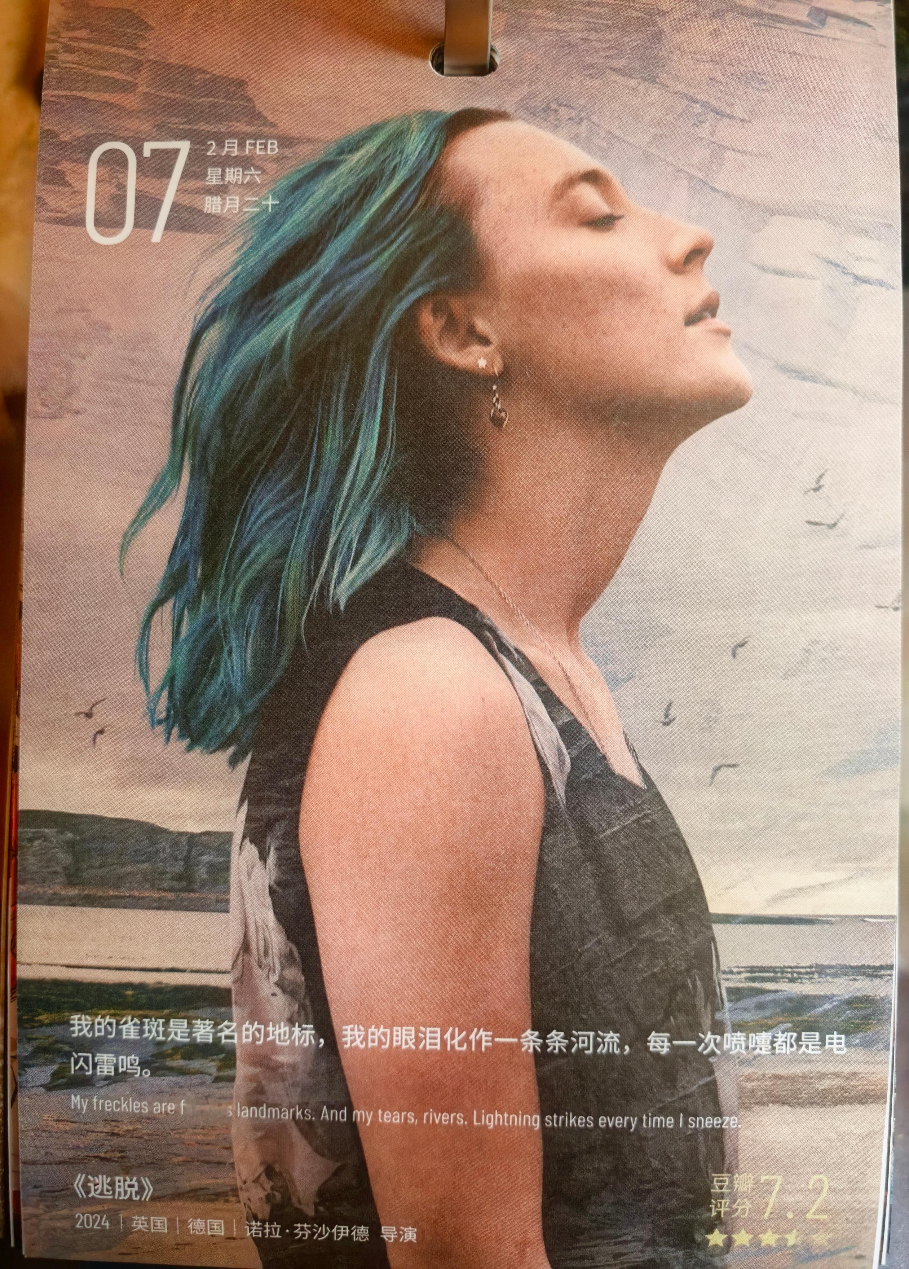 今日份的豆瓣电影日历——西尔莎·罗南🤗 