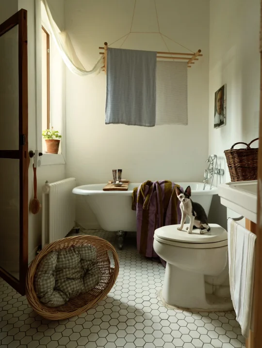 家中迷人的夏日色彩和气味🪴