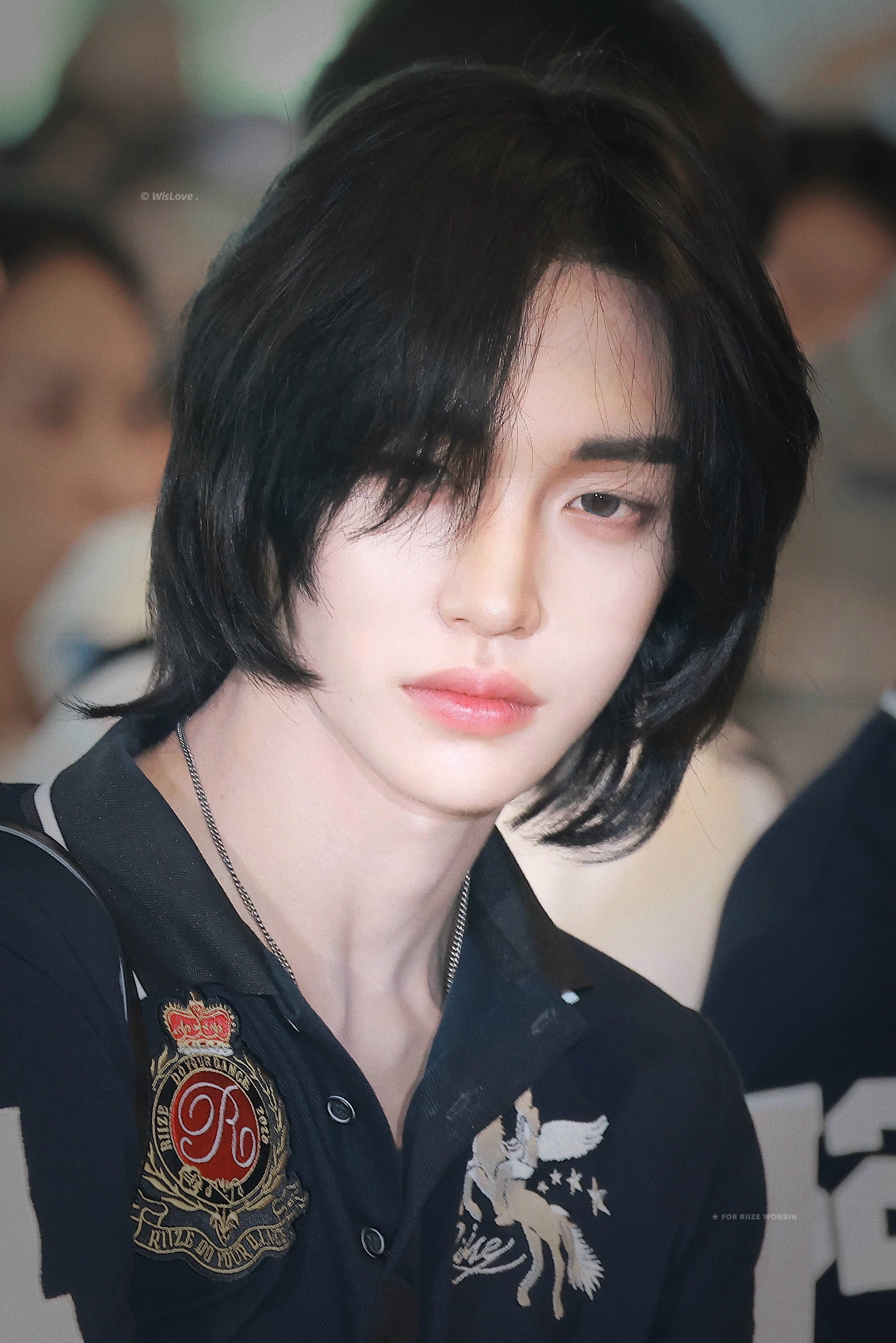 260628/wislove 
