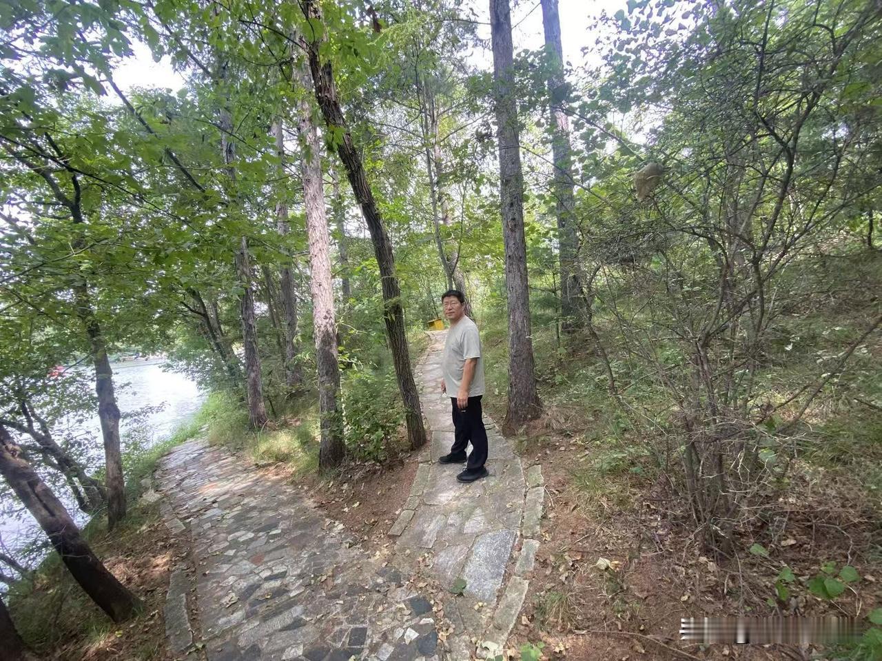 今天我自己来到山上，目的很明确，就是想给自己找块墓地。当然有人说不吉利，我觉得很