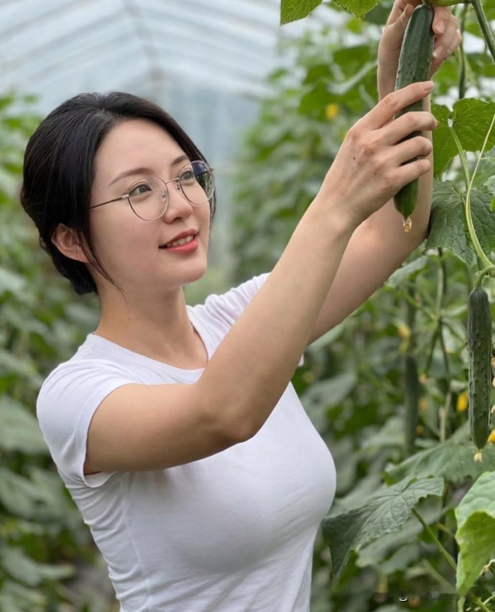 减字木兰花·棚中撷翠
 
晴棚风软，翠蔓牵丝垂露满。
轻撷新条，笑指瓜身带嫩梢。