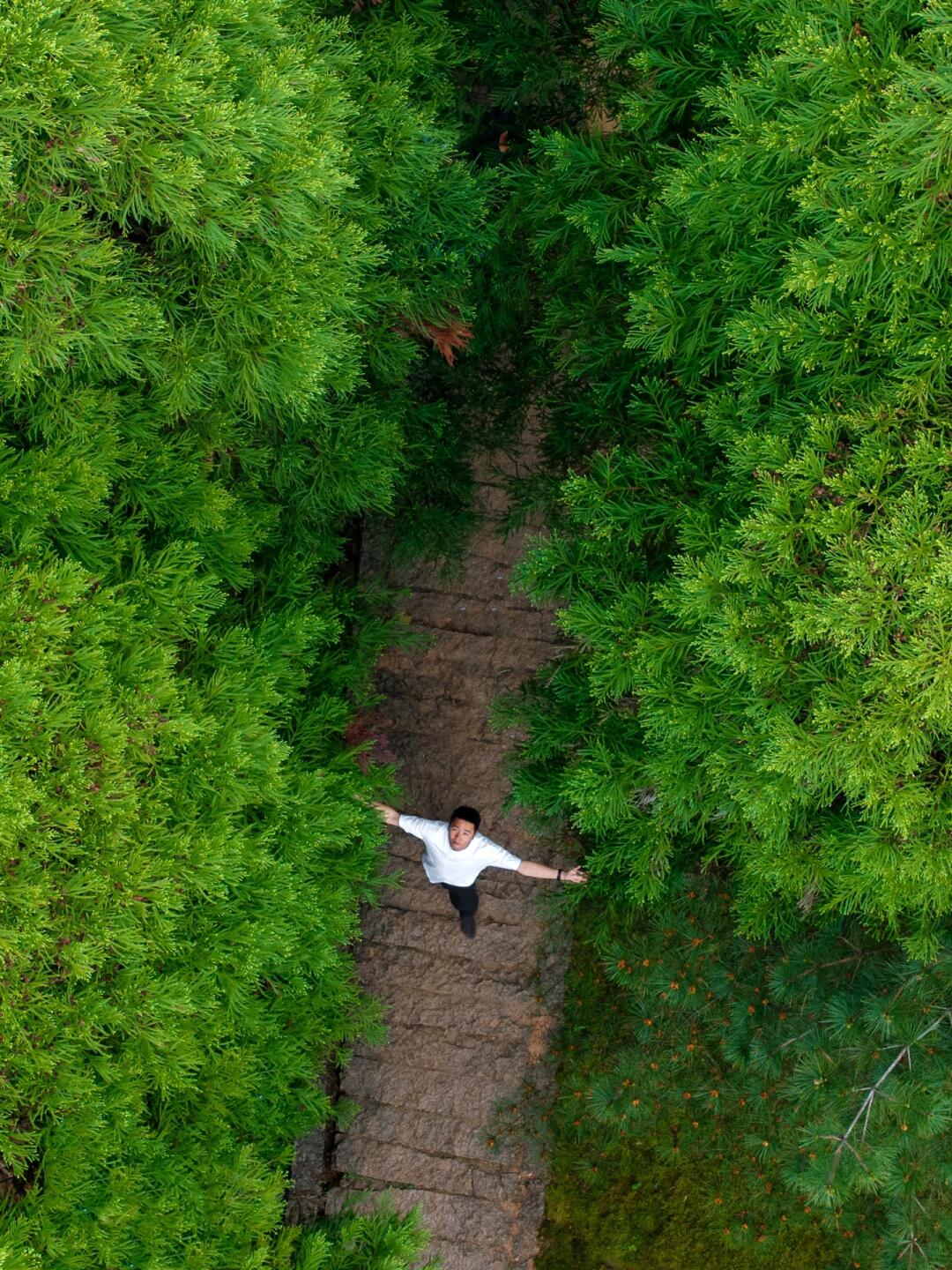 玉苍山📍 苔藓迷雾森森林🌳