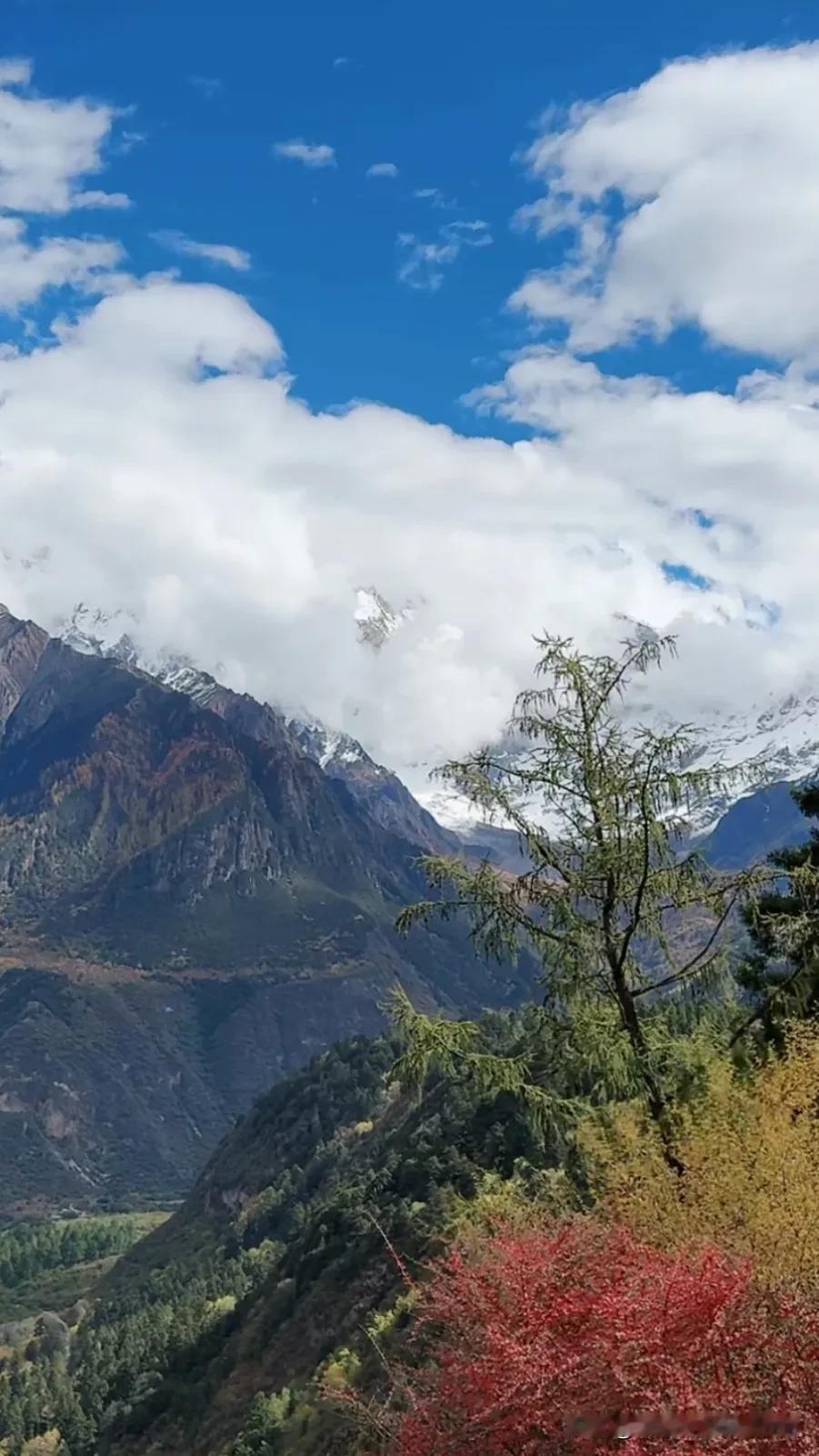 高原的雪花，像我对你的思念。#高原上的景色# #雪山美景⛰️# #高原上的天# 