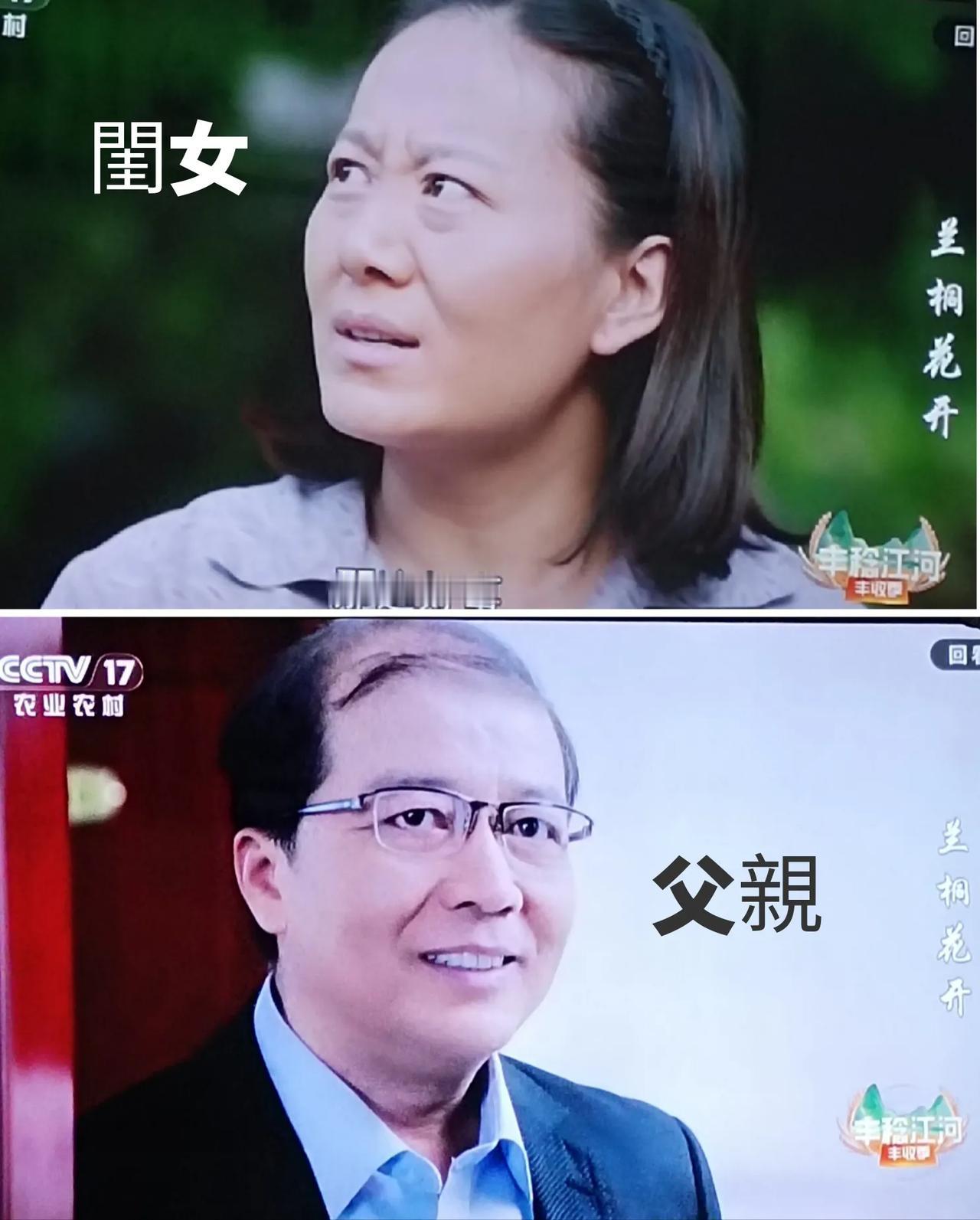 《蘭桐花開》:父女倆！