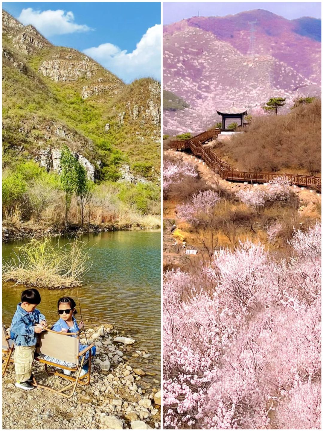 北京郊区玩水➕赏花➕爬山➕看“海”一日游，1h达