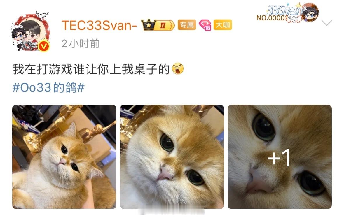 路酱帮你教育哈基米。快快开播竞浪大会oo33的鸽