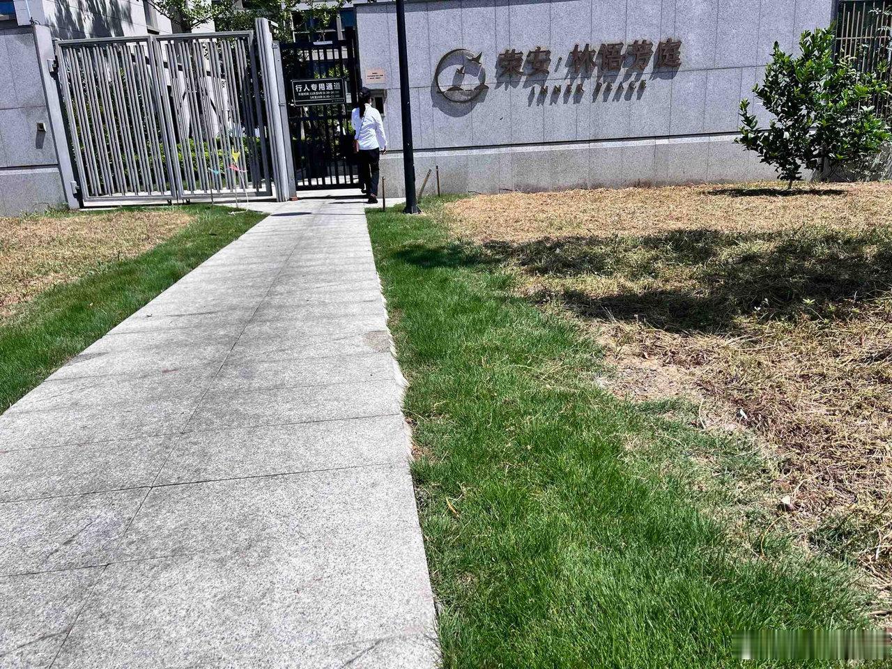 宁波林语芳庭外围虫害泛滥居民愁坏了 鄞州姜山镇林语芳庭居民向民生e点通反映，小区