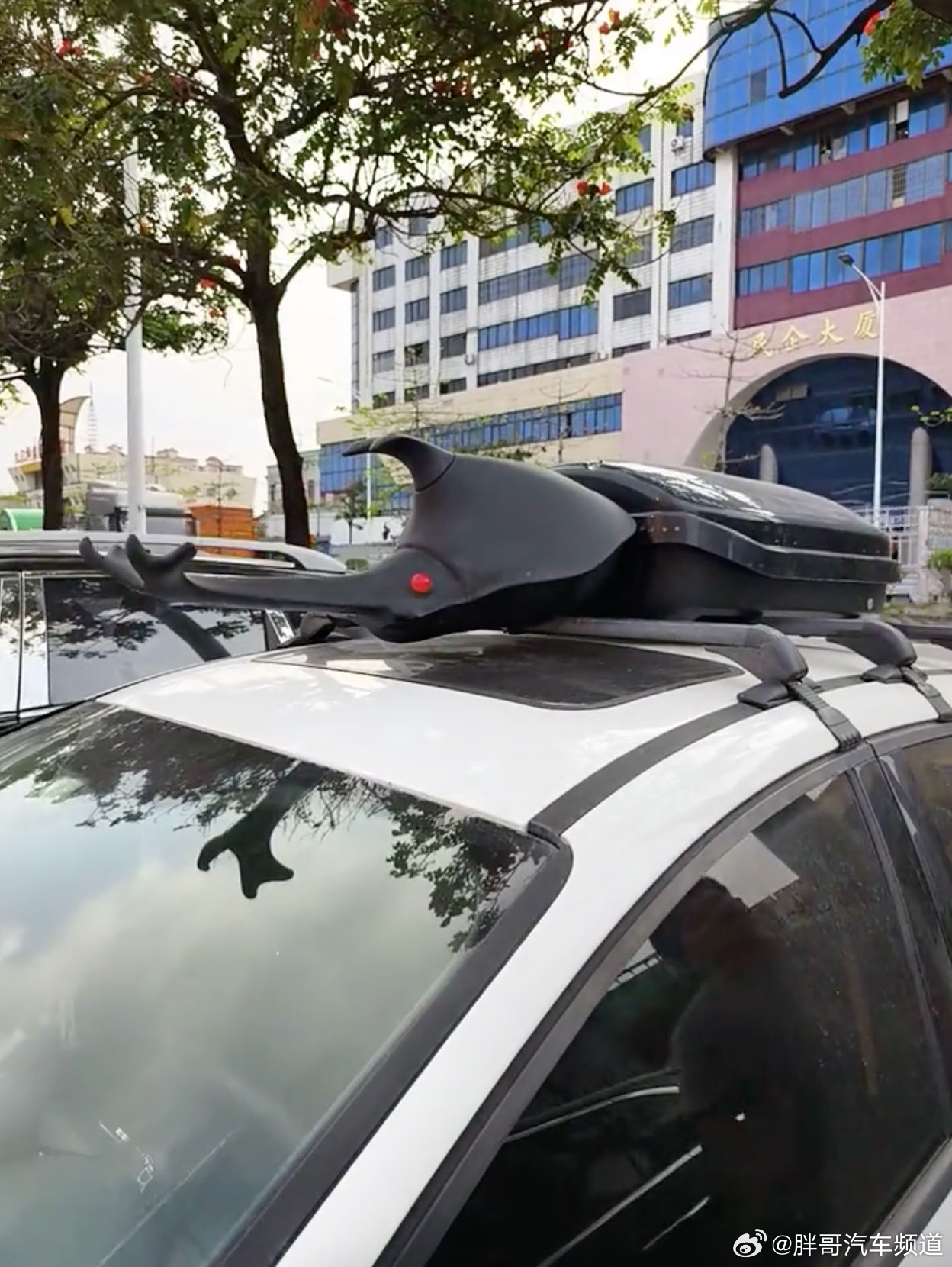 胖哥汽车频道 这箱子不错，既实用又偶尔有点吓人哈哈哈哈 我和汽车的日常大V聊车