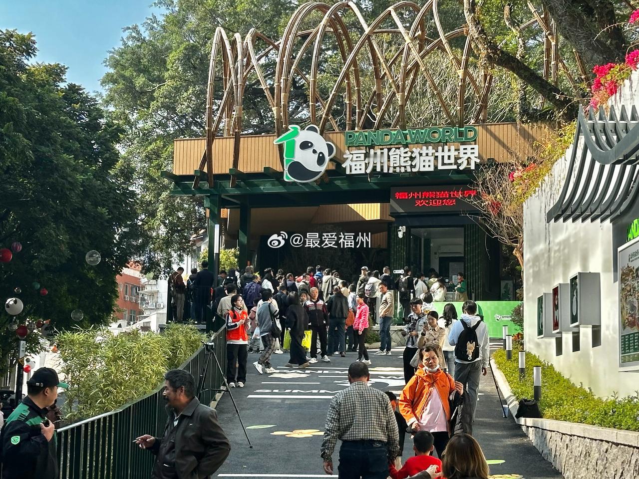 福州熊猫世界今日开园 

不到12点 现场围满了排队进场的市民游客 ​​​。vi