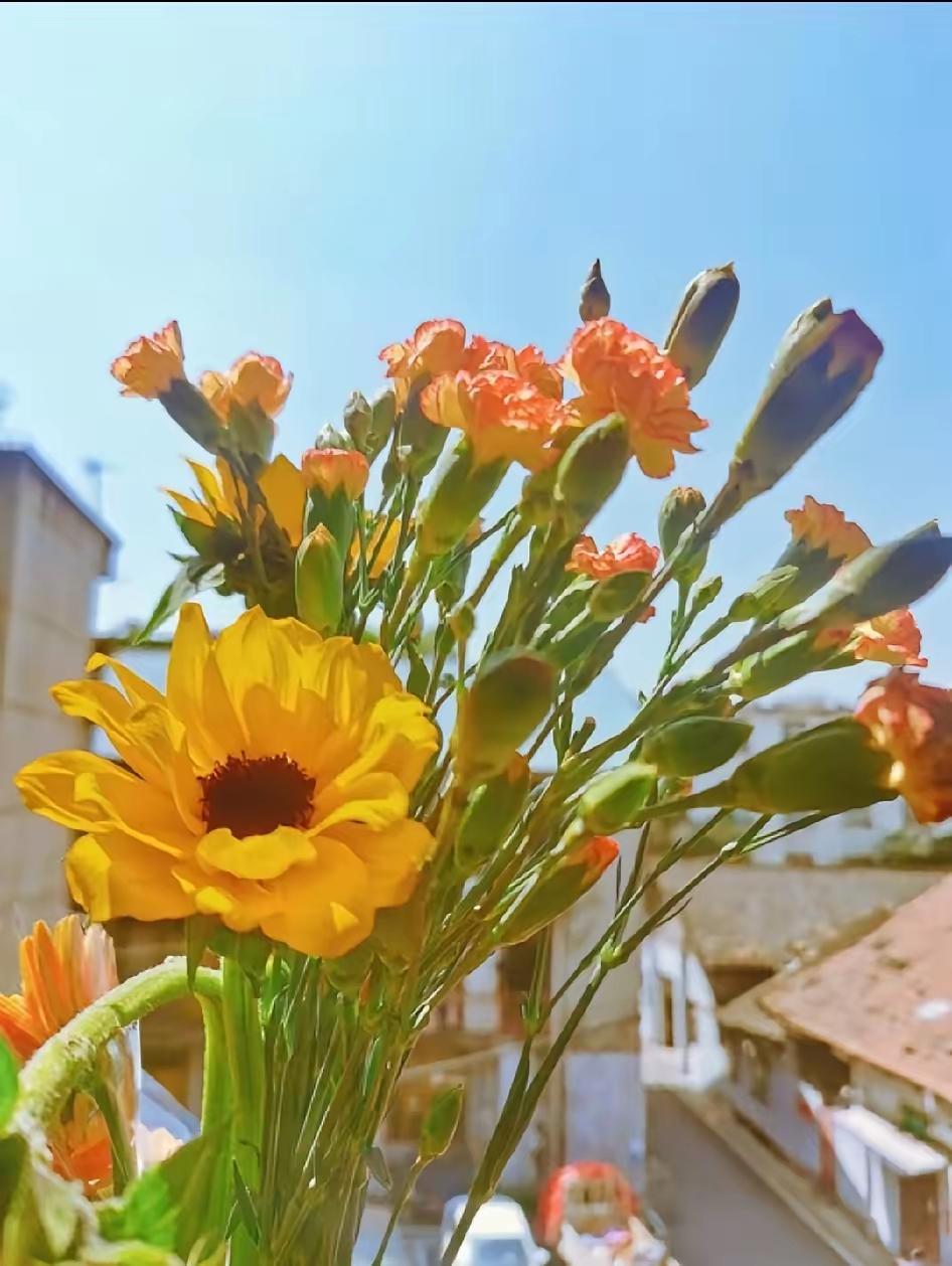 “你一定要记住，人生最好的一天，永远是今天。无论你现在处于什么状态，都要明白：生