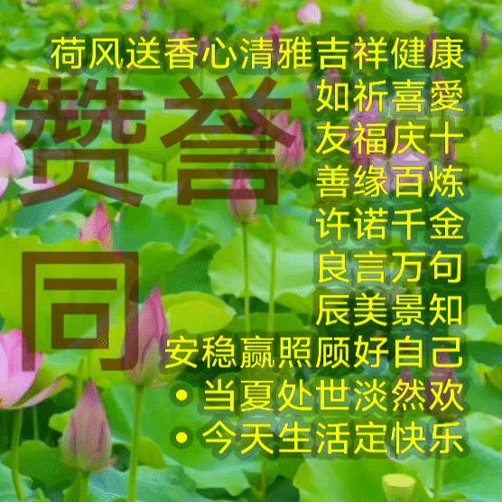 阿拉伯数字⑩等同于：同音字
阿拉伯数字⑩等同于：音同字不同
阿拉伯数字⑩等同于：