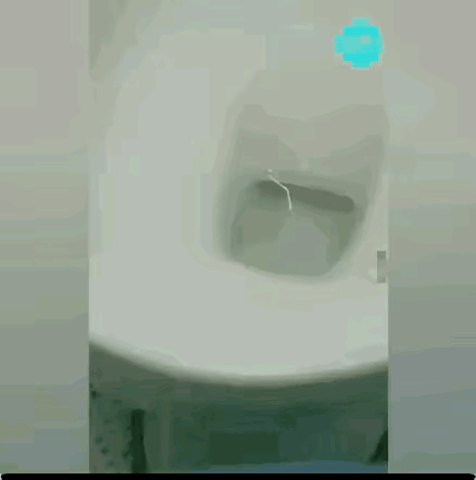 🚽马桶里养蜥蜴🦎，这是什么变态爱好？ 