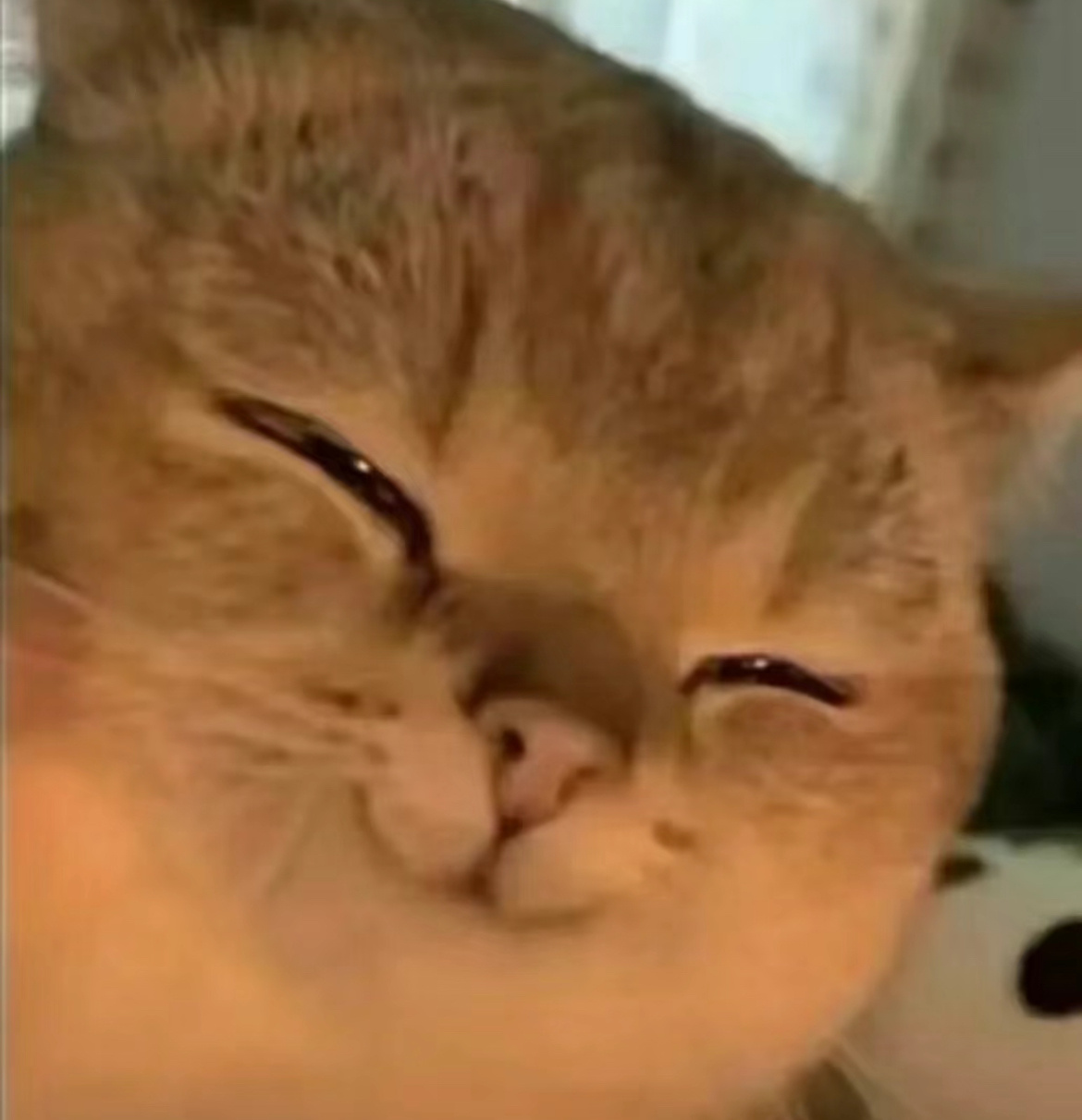 哎我真的好喜欢好喜欢好喜欢看尹净汉跳舞啊。我要看他在舞台上发光发热跳一辈子舞 