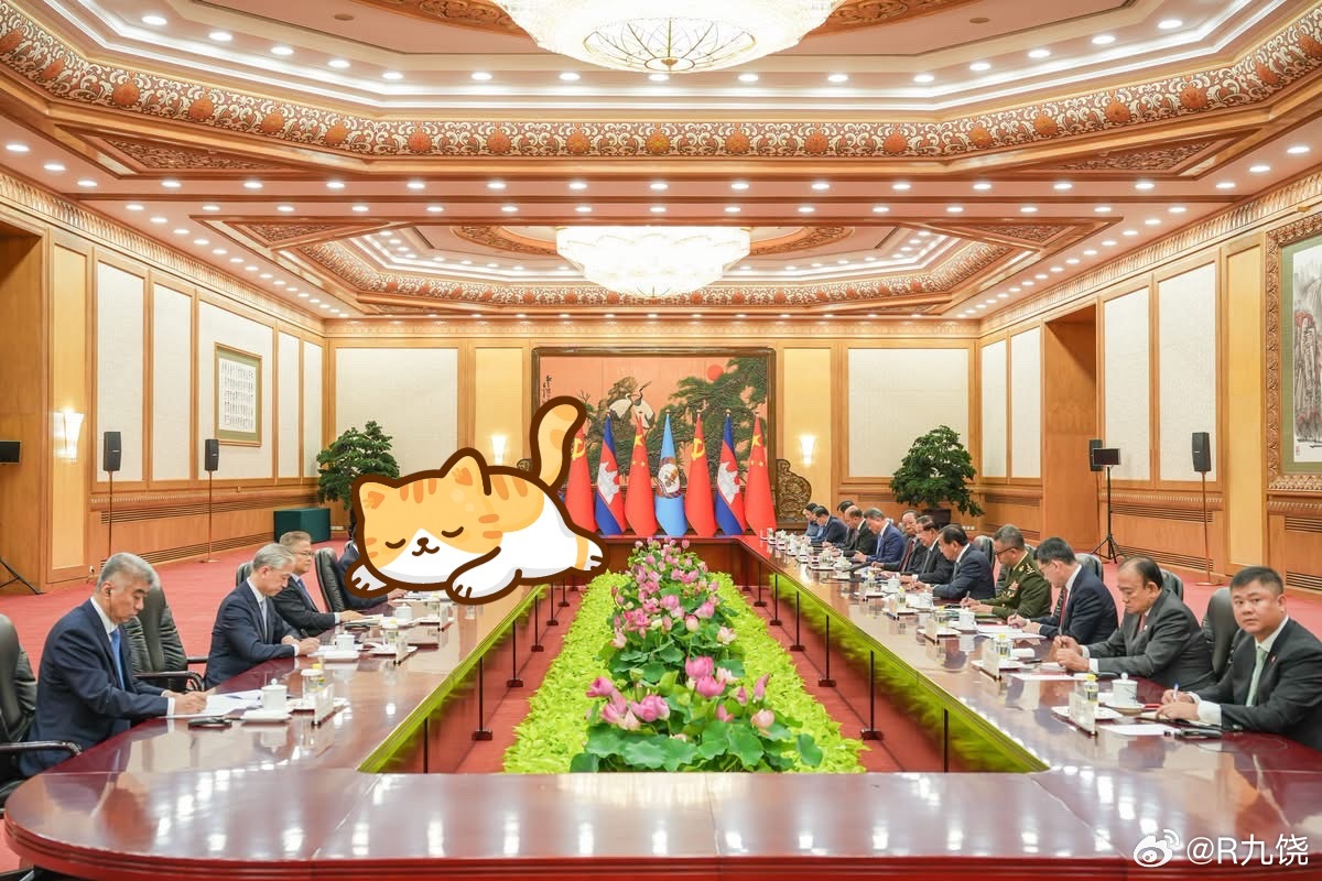 汪文斌  今日汪大使等陪同会见洪森！两次的会见图集。 