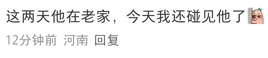 [怒]不是很理解男的遇到日天也要特地搜索到我的帖子里上门炫耀的行为 