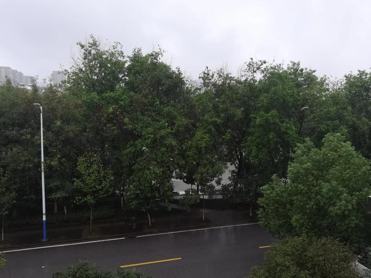 秋天的皖南，阴雨绵绵。一直要下到中秋国庆。你们那里下雨了吗？🌧🌧🌧