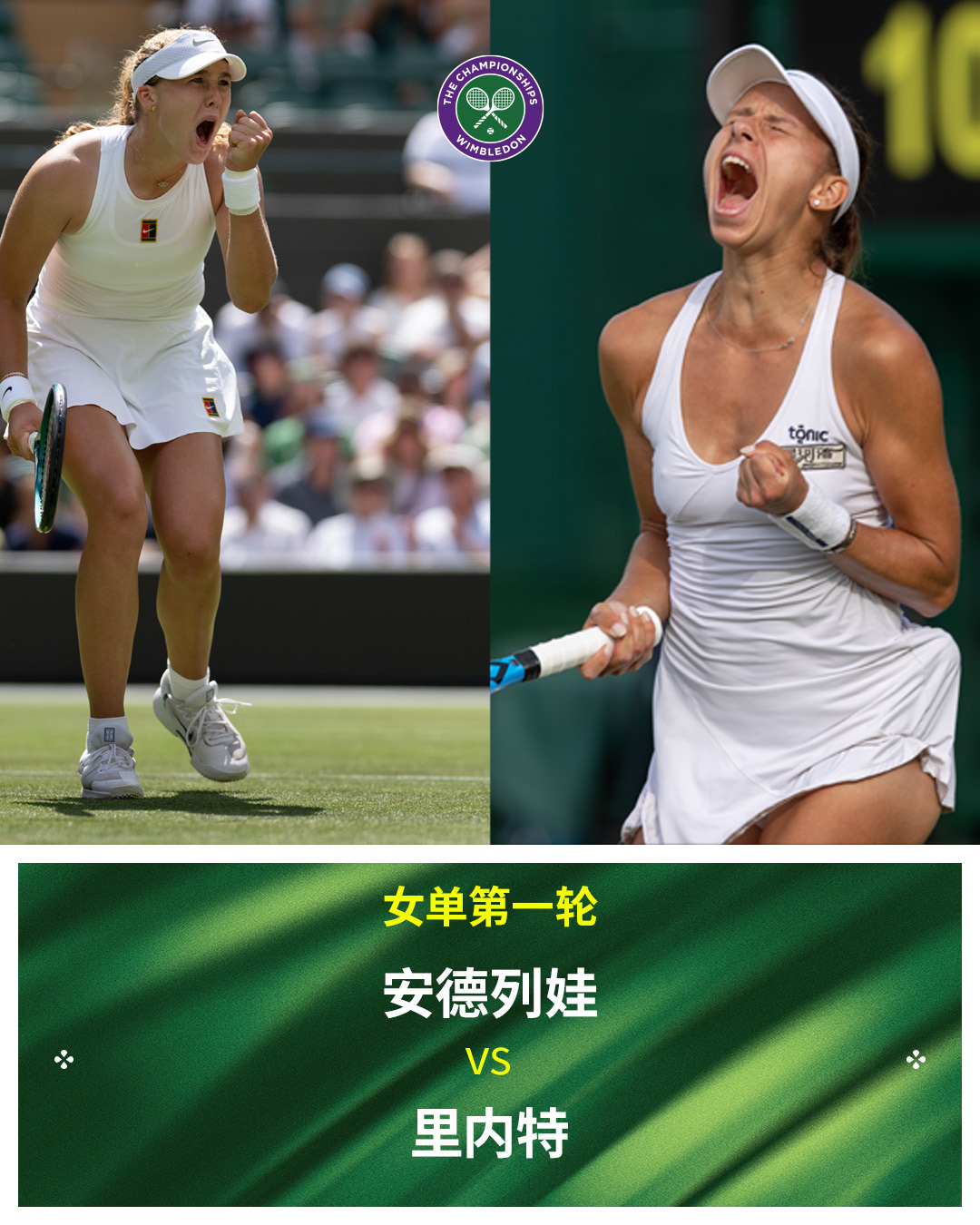 温网2026 女单焦点对阵布瓦松vs莱巴金娜安德列娃vs里内特[24]陶森vs萨