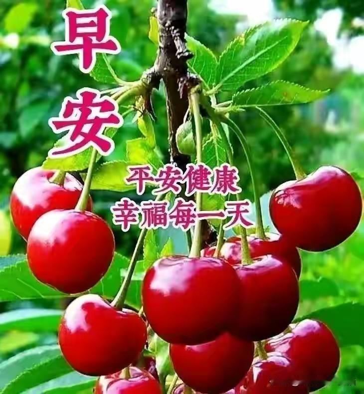 为快乐而生活，为健康而前行。享受喜悦的昨天，过好充实的今天，就会有更美好的明天！