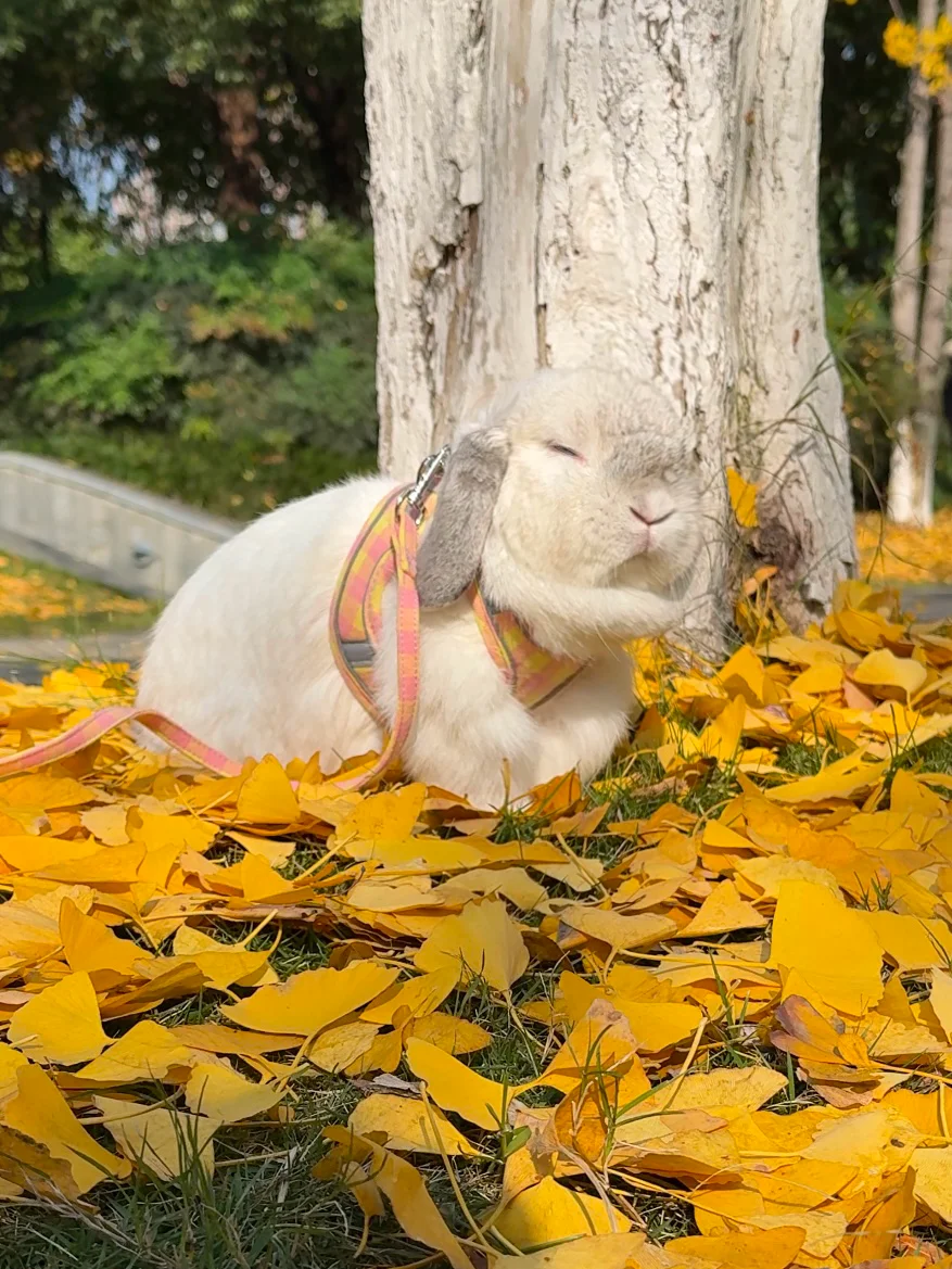 人，今天你有没有出门享受阳光？☀️