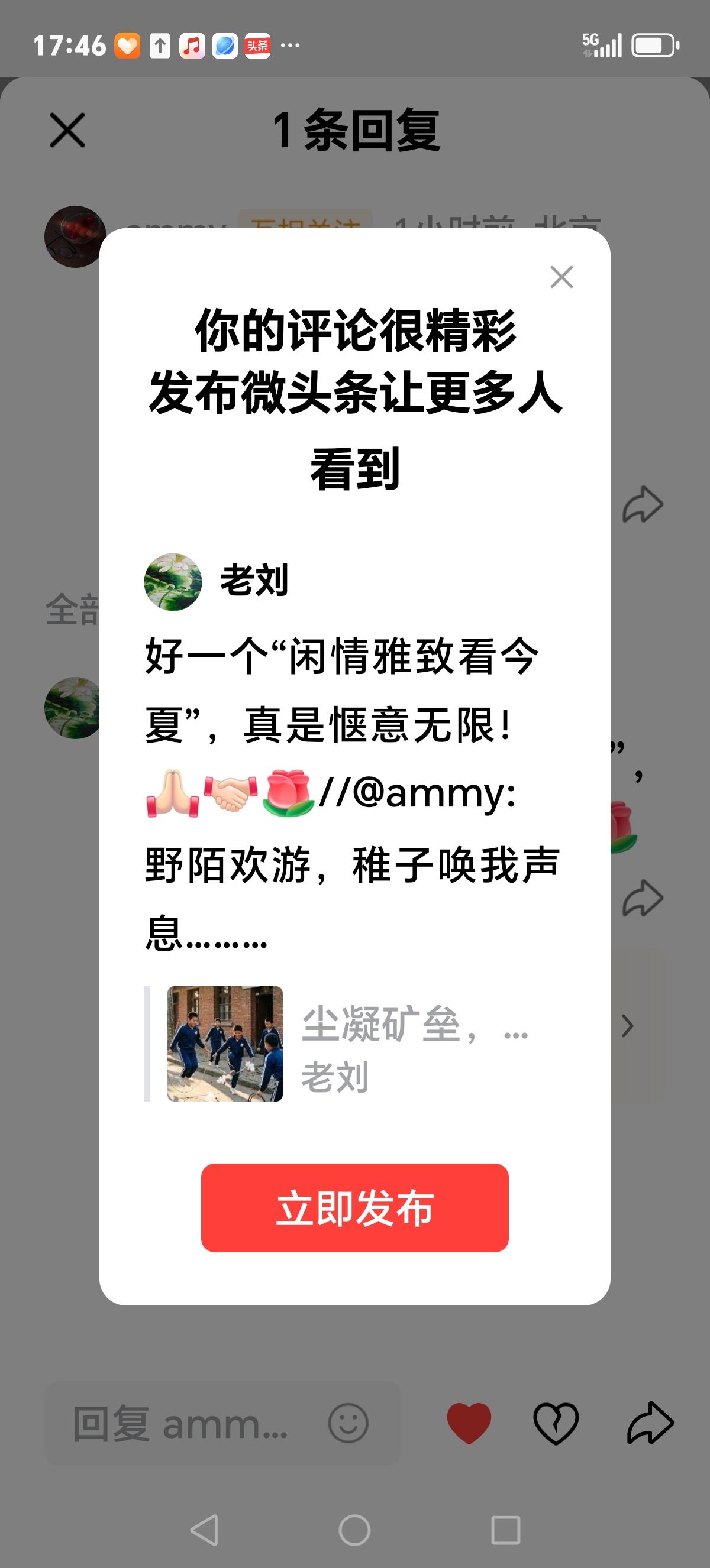 好一个“闲情雅致看今夏”，真是惬意无限！[祈祷][握手][玫瑰]//@ammy: