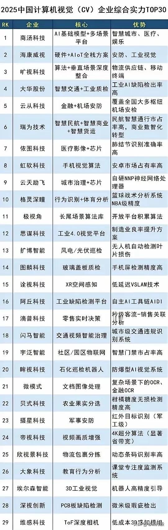2025年中国计算机视觉（CV）企业综合实力TOP30，涵盖了企业的排名（RK）