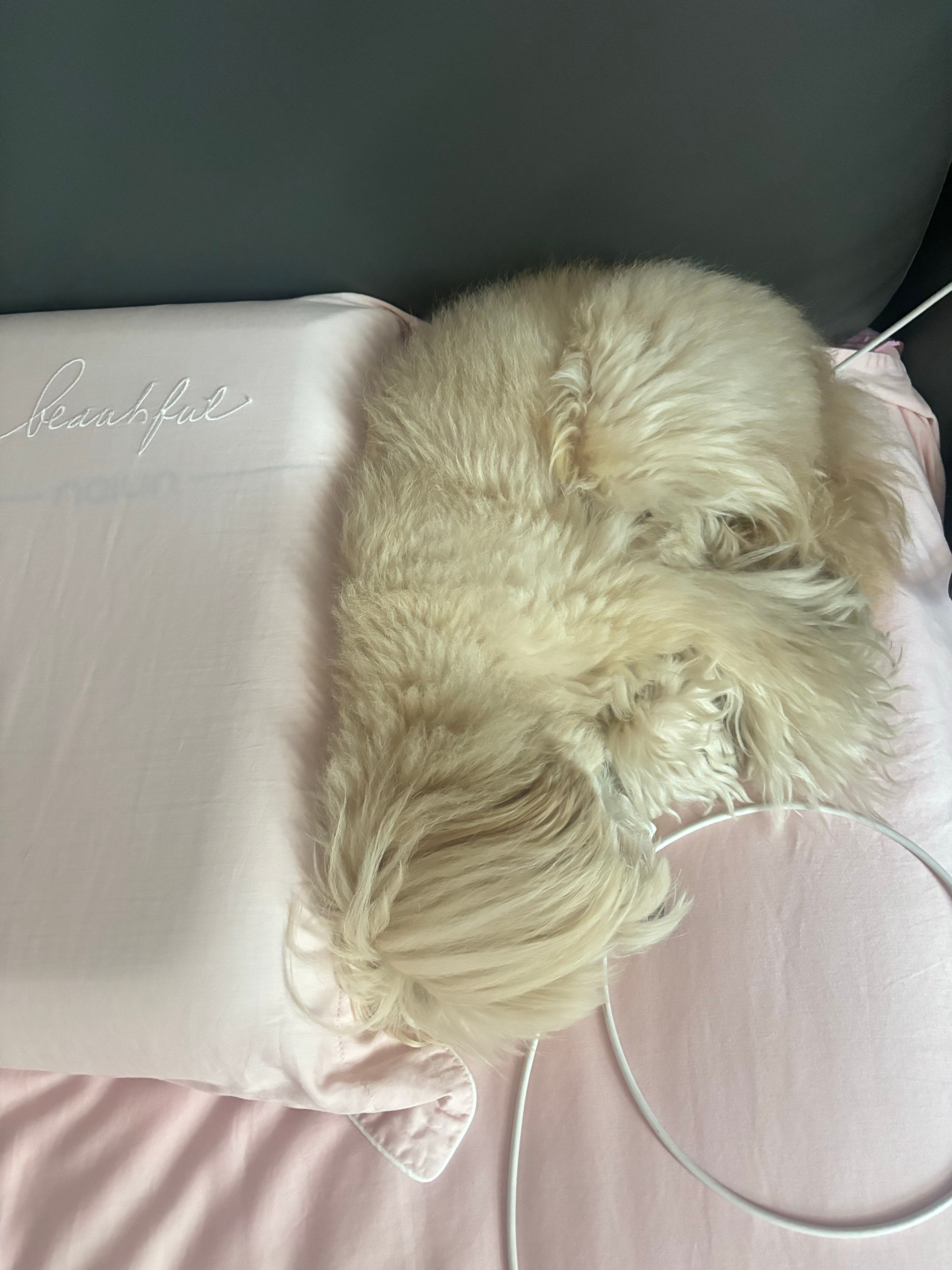严丝合缝黄岩