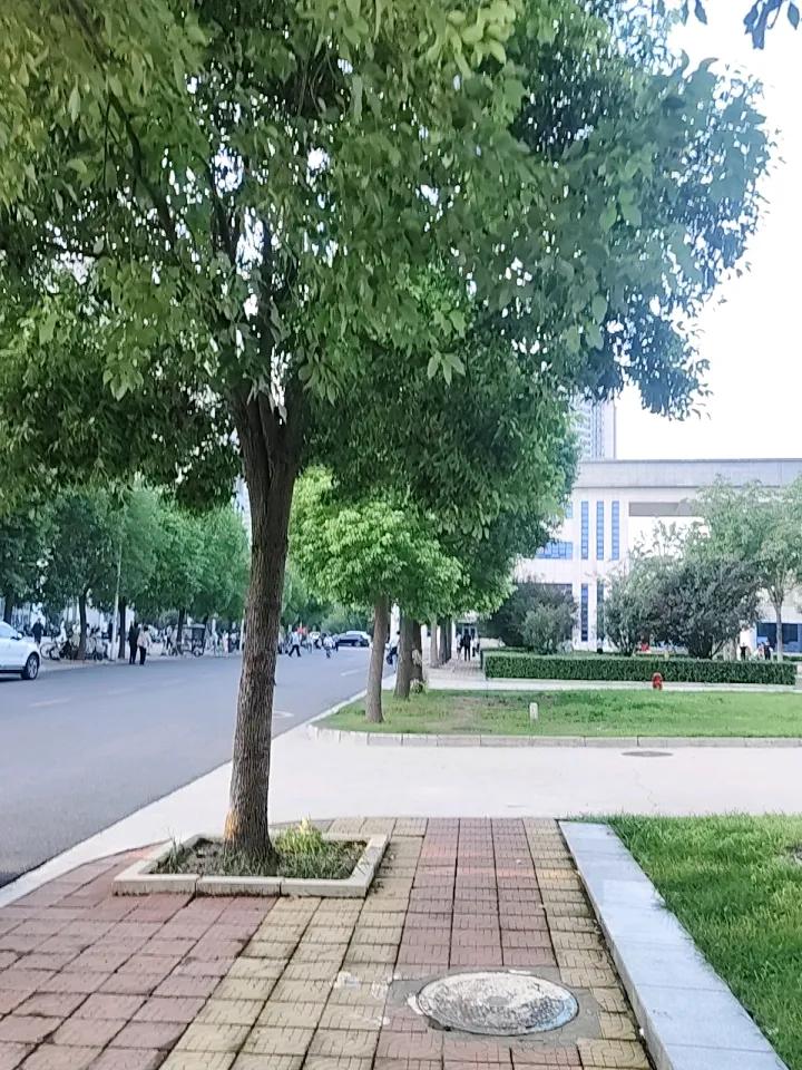 借着此次法考的契机，我重返大学校园，在里面又转了一圈。不知从何时起，这所大学不再