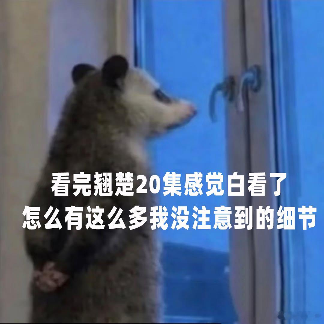 翘楚前20集白看了 楚朝和邓弈在朝堂上针锋相对，结果竟是联手整顿朝局的队友？这反