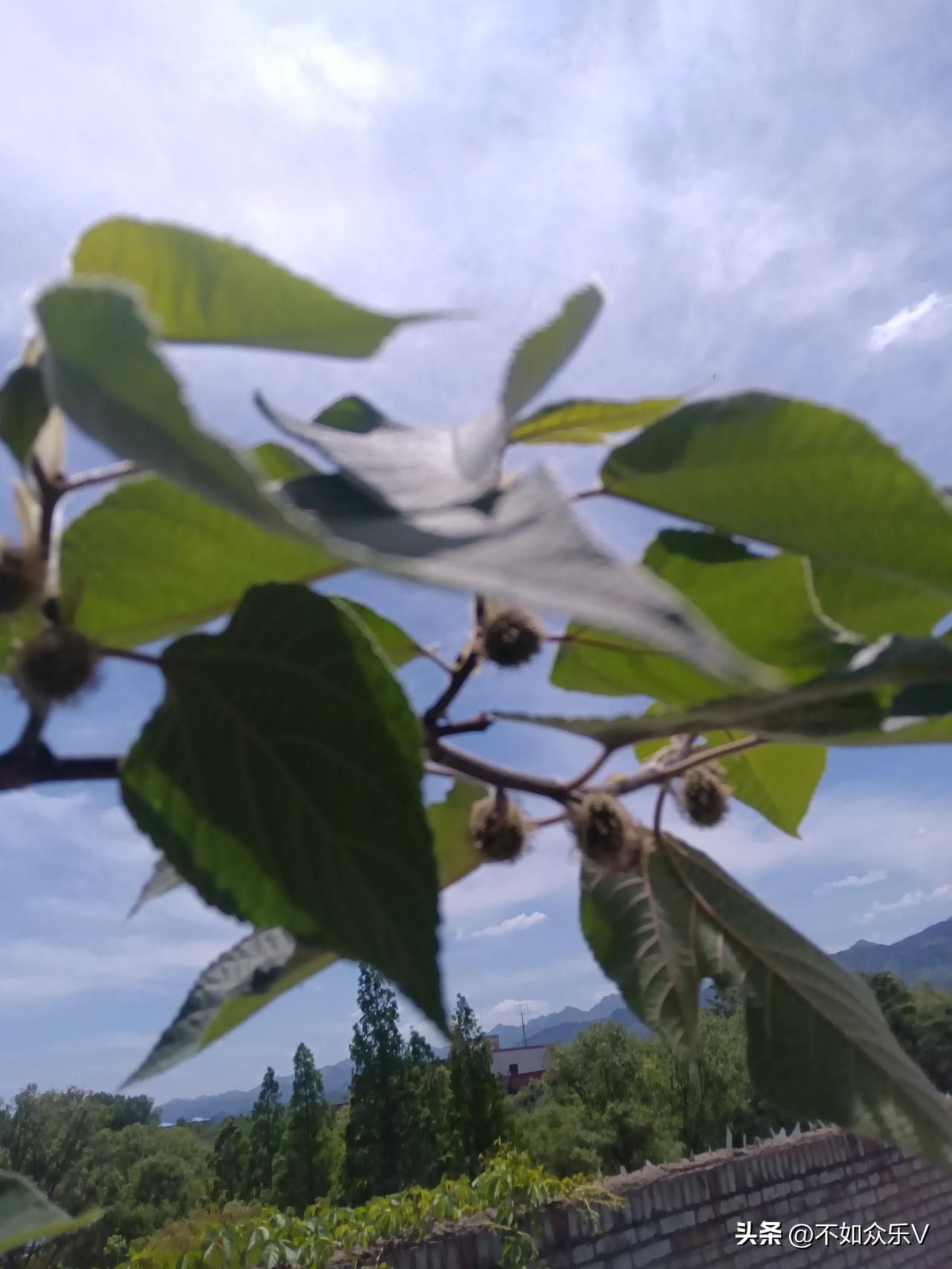 调整心态吧！
炒股只能自我安慰，其中的苦只有自己知道，没人能代替！
既然走上了炒
