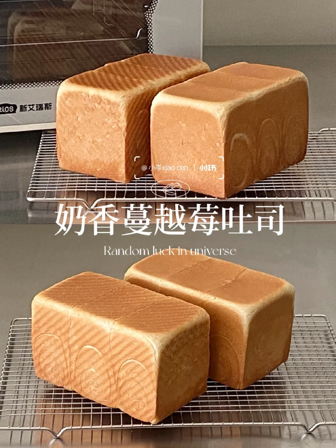 奶香蔓越莓吐司｜沉浸式做吐司