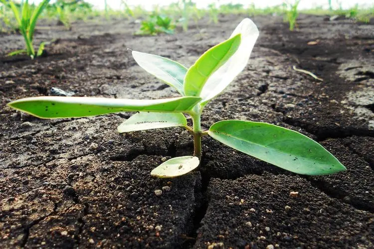 #越来越多小孩沉迷游戏不运动# 整天沉迷在网络世界，忽略了现实中的运动与探索。感