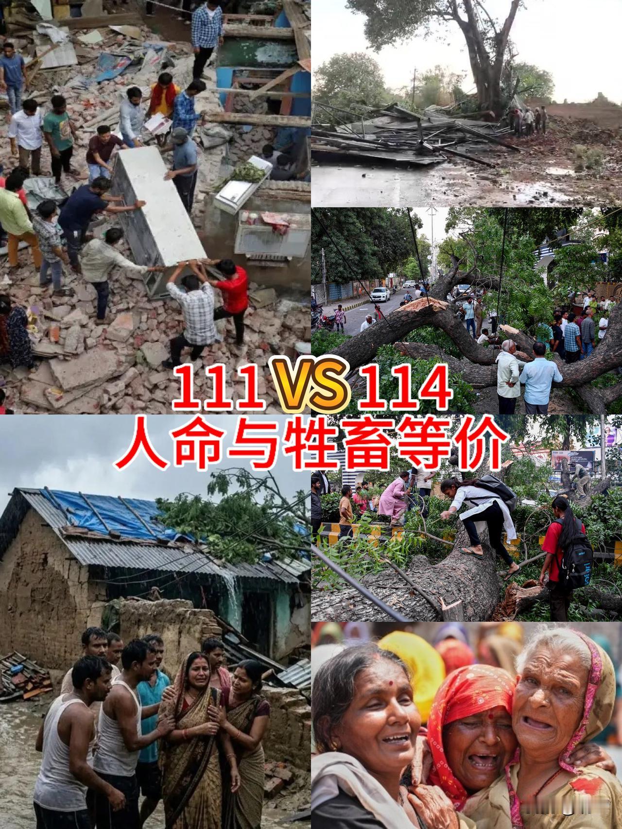 【印度：人命≈畜命】
111人！114头牲畜！
这是印度发生自然灾害带来的死亡数