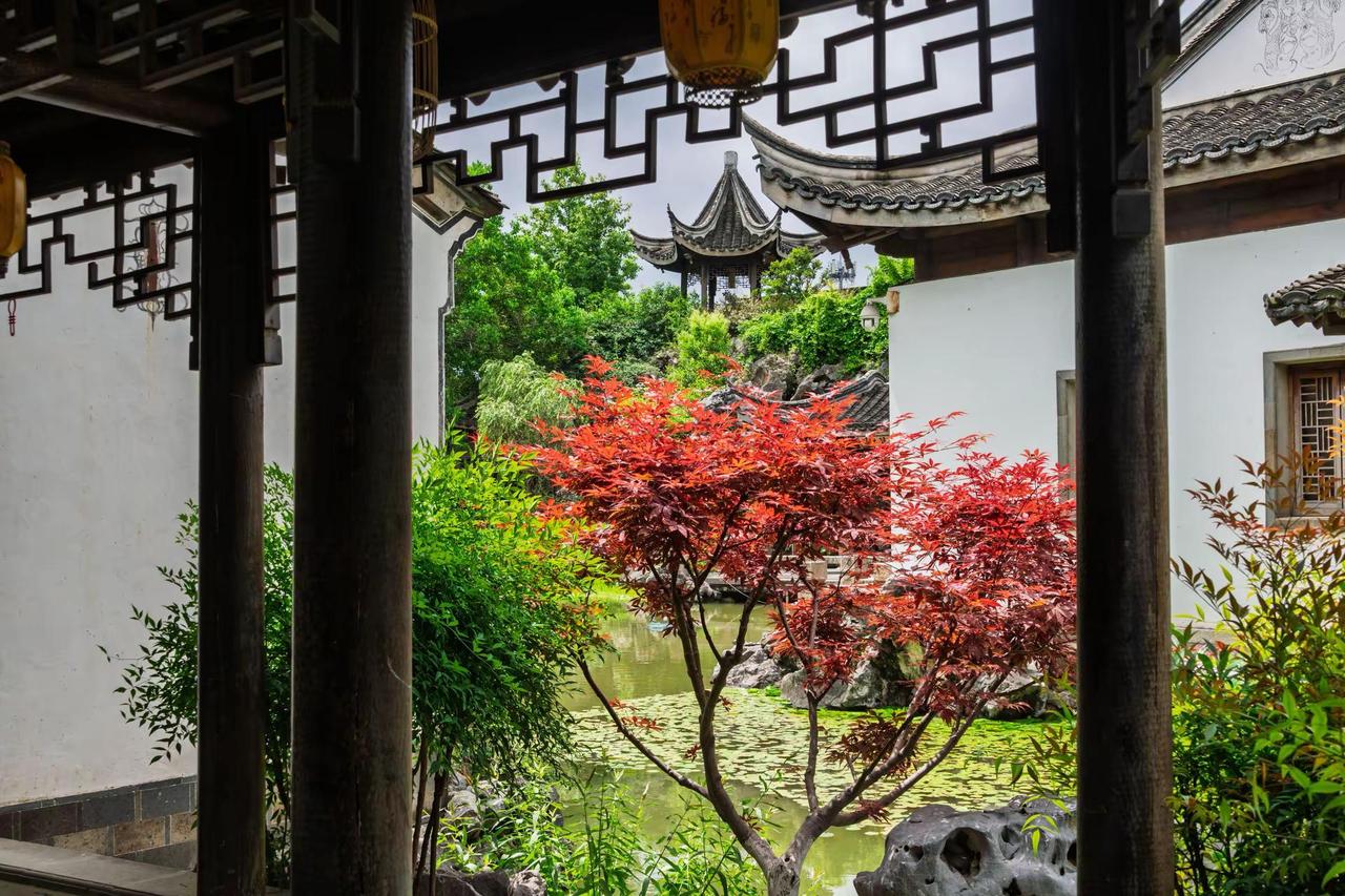 南京芥子园。南京芥子园园林独有的东方美学 中式园林之美学 中式美学园林 诗意的园