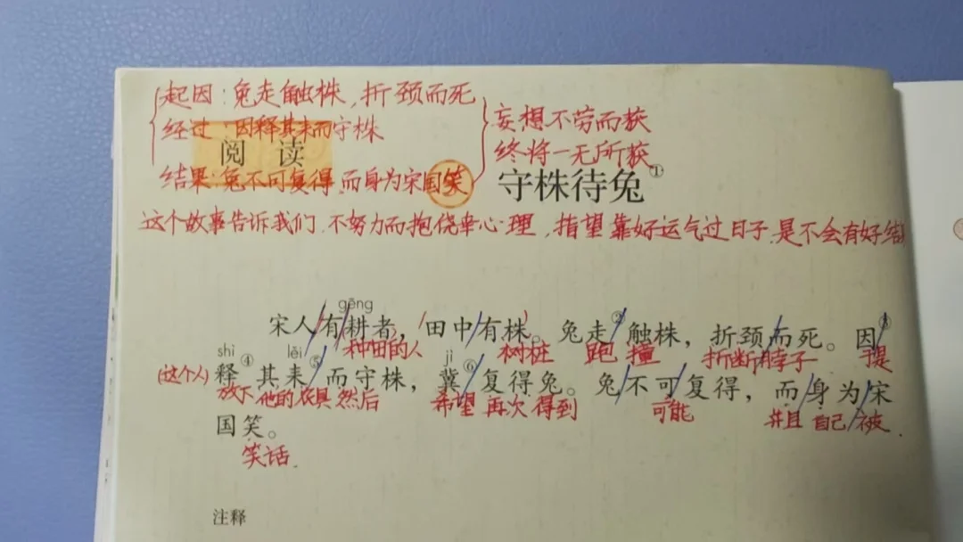 语文老师学了快写，效果拉满