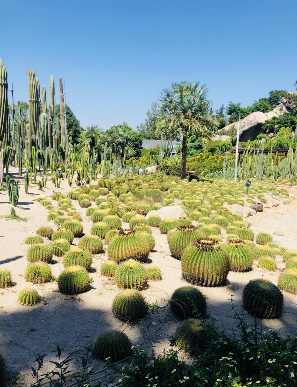 福建哪个城市最好旅游呢
个人觉得是福建漳州
首先，福建漳州历史感厚重，几个大土楼